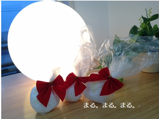 201312191255502459