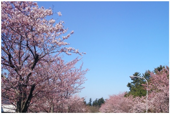 20140421_05
