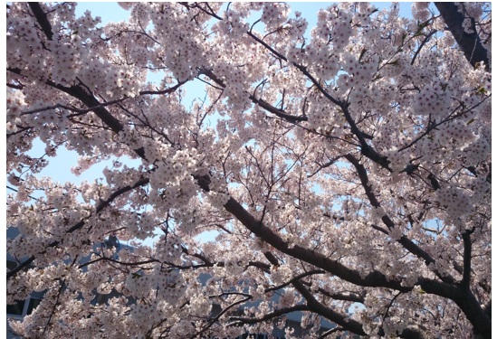 20140424_02