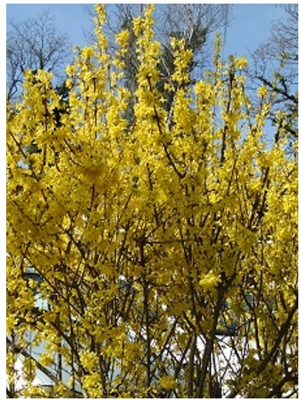 20140424_03