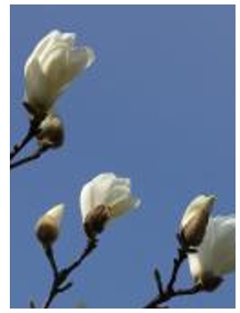 20140424_04