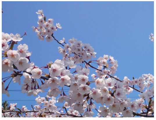 20140424_05