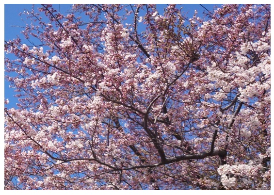 20140424_08
