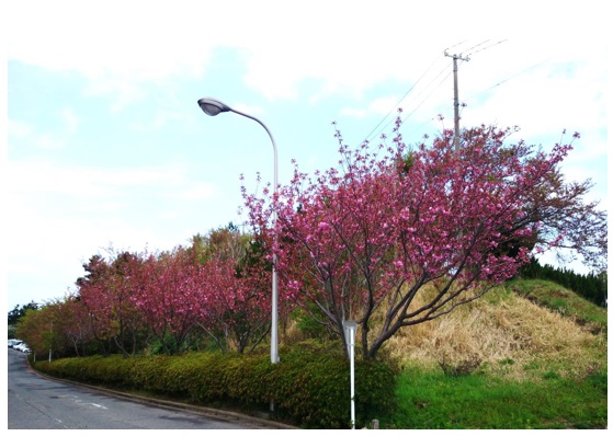 20140501_02