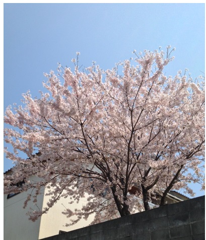 20140501_03