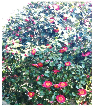 20140501_06