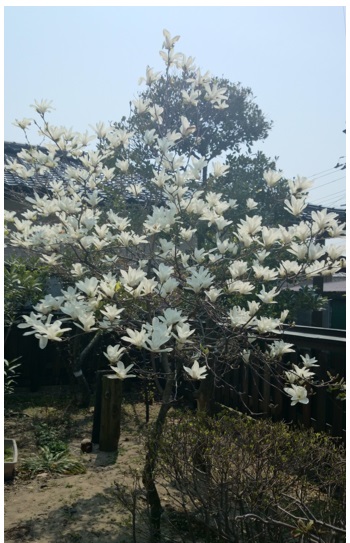 20140501_08