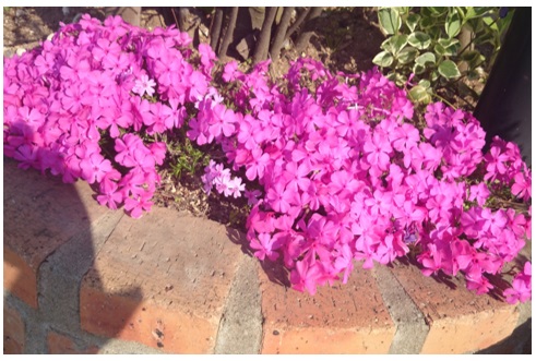 20140508_02