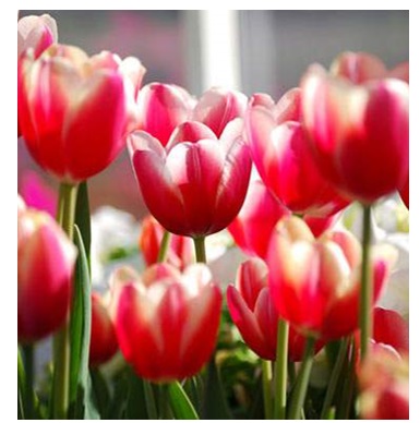 20140508_07
