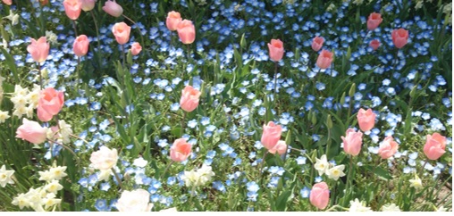 20140516_02