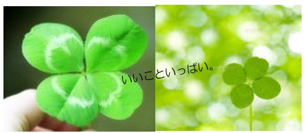 20140606_05