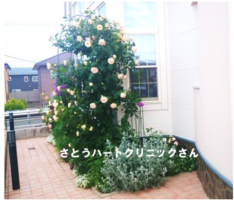 20140613_04
