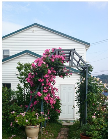 20140624_03