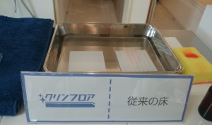 26072404