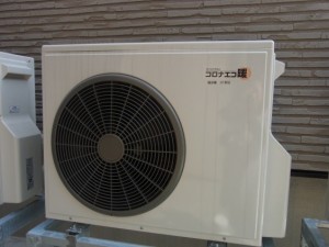 26080806