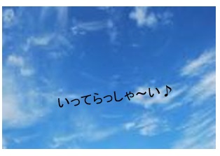 26110605
