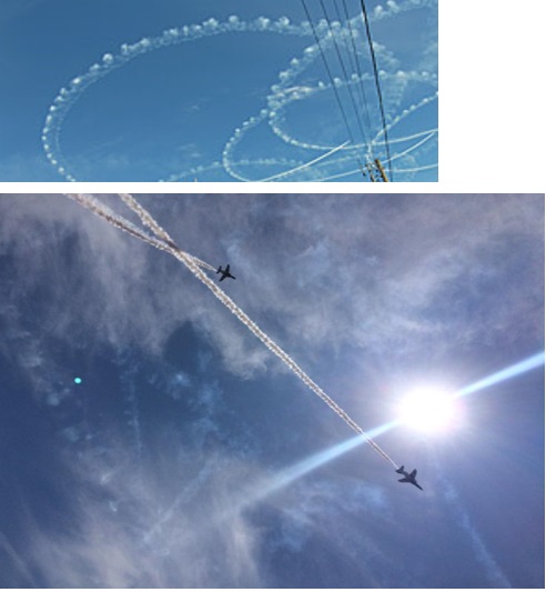 27060306