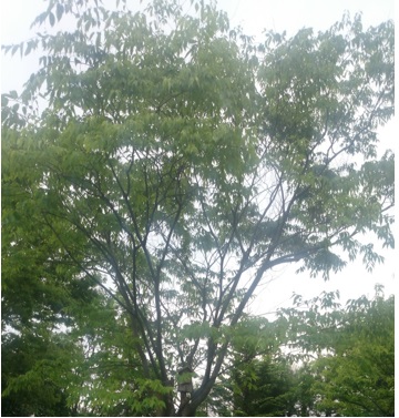 27082004