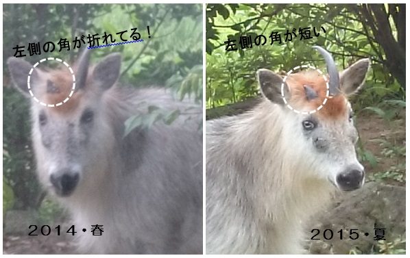 27082009