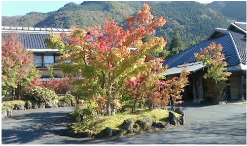 秋の休日~芸術の秋~