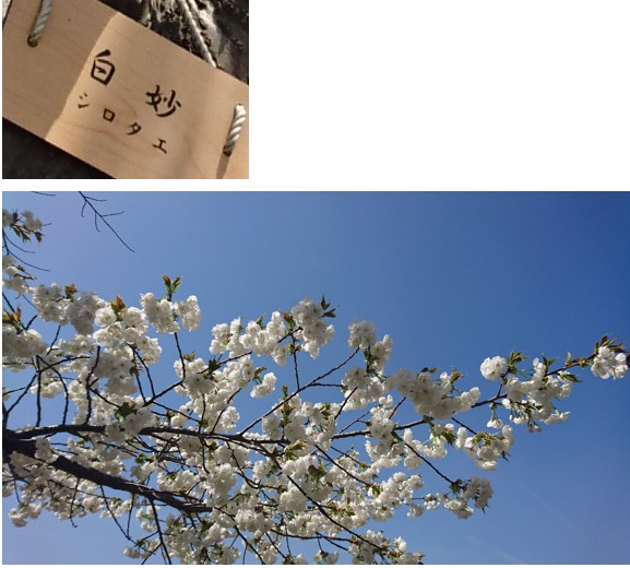 28042704