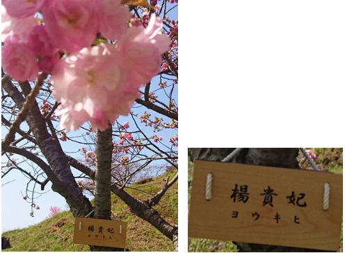 28042708