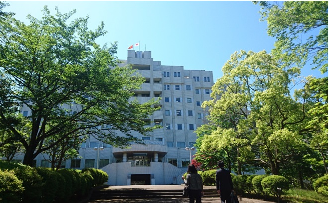 ゼミ体験
