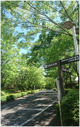 28052406