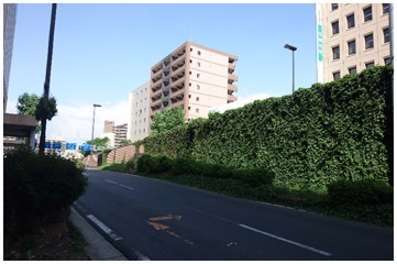 28060205