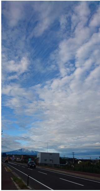 28061506