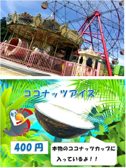 28080805