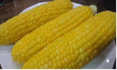 28082507