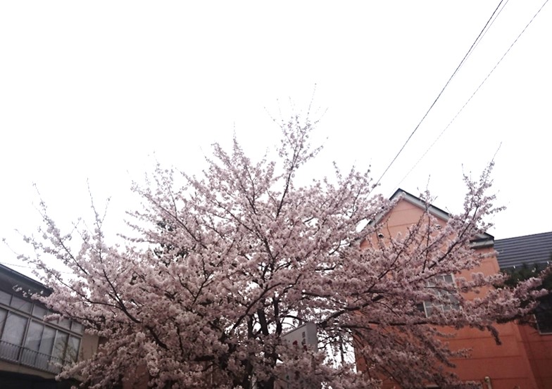 29042103