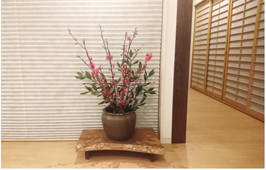 月桂樹