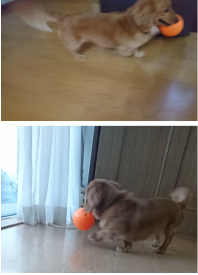 29060506