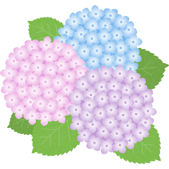 2018年6月