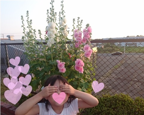 七夕前夜