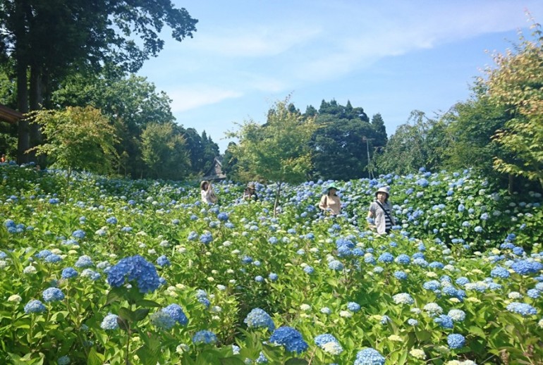 ブルー一色の日
