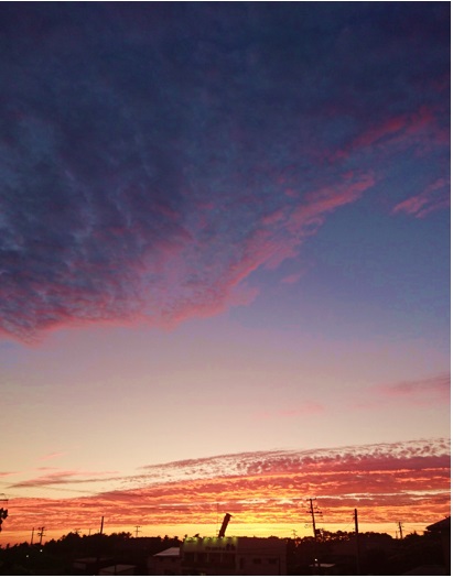 29072609