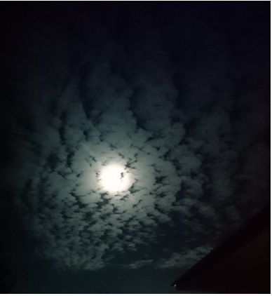 29080506