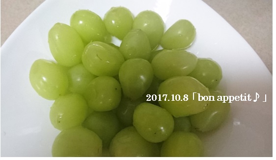 29101006