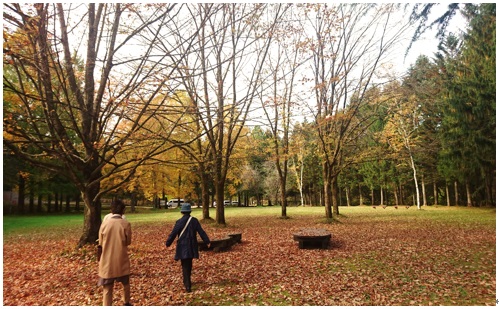 晩秋の公園散歩