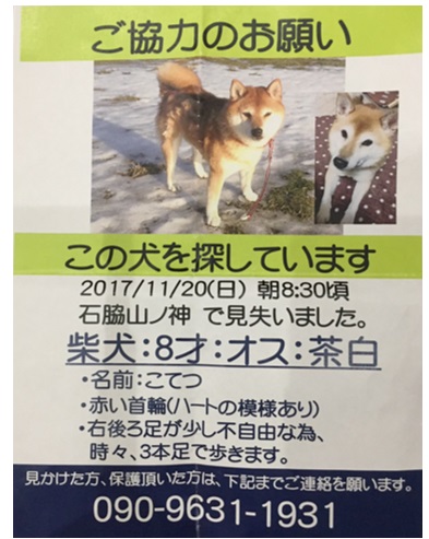 29112902