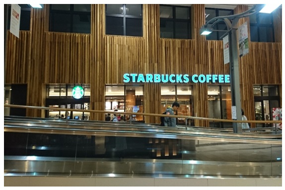 スタバと松の木