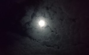 29121102