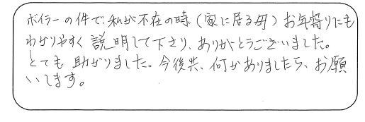 niS2