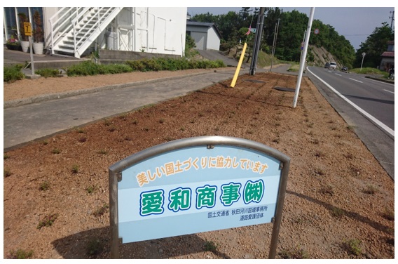 夢見る花壇