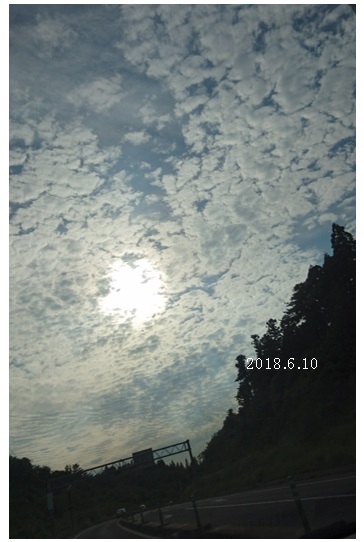 30061202