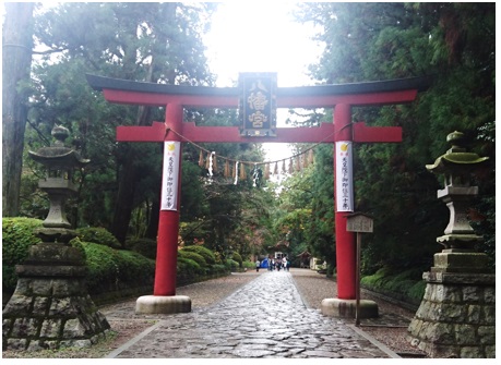仙台神社参りツアーと縁起がいいこと