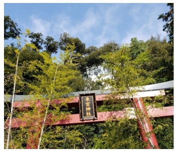 来宮神社さんにお参り